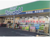 ドラッグWAKUWAKU 南子安店